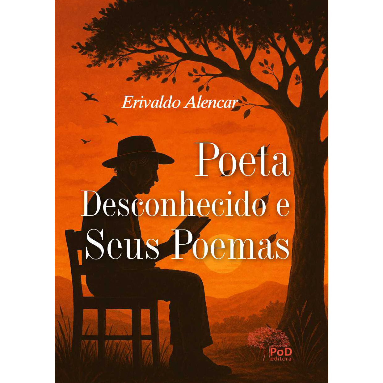 Poeta desconhecido e seus poemas